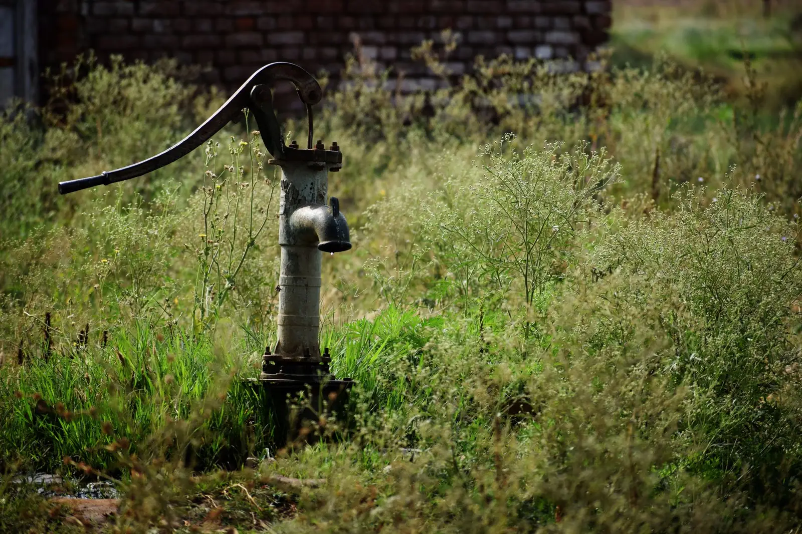 Well pump wellhead
